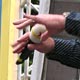 RLP-Tag (Quelle: M. Lueg)